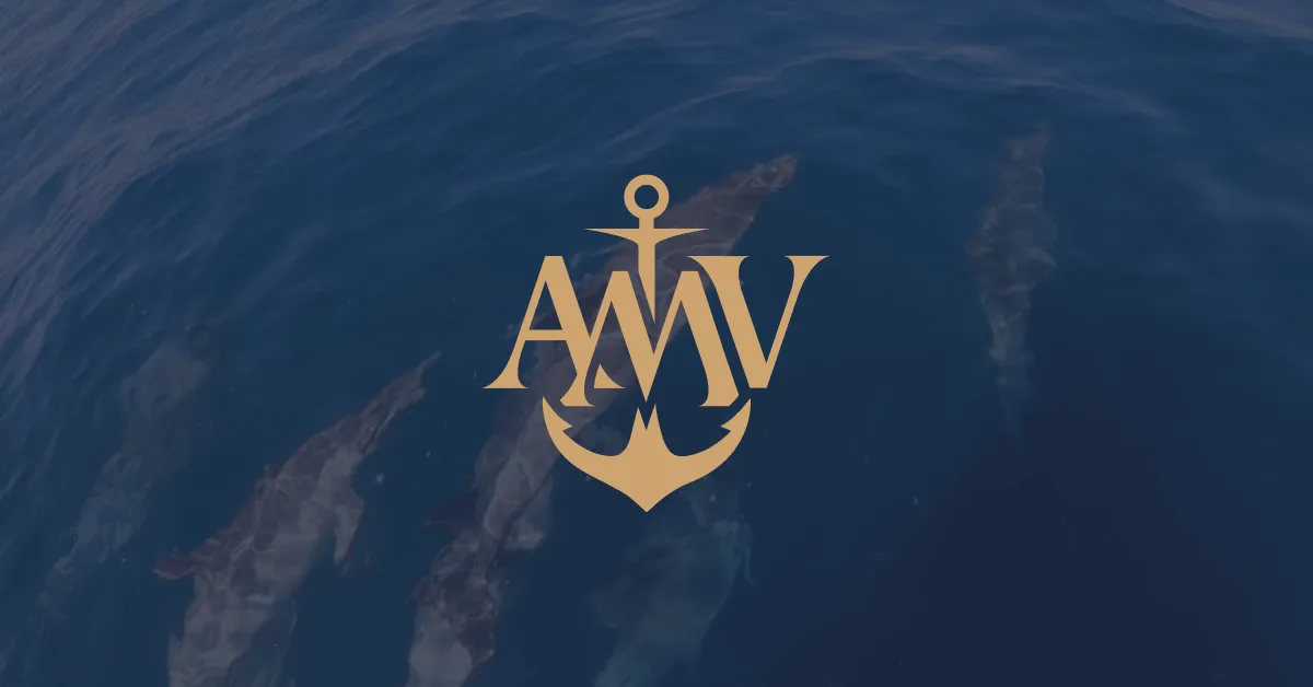 découvrez les informations essentielles sur l'amv toulon : services, horaires, contacts et conseils pratiques pour optimiser votre expérience. restez informé et profitez pleinement de votre passage à l'agence!
