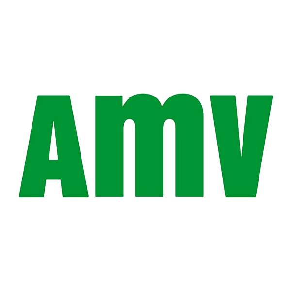 découvrez amv.fr, votre expert en gestion d'assurances. profitez de conseils personnalisés et de solutions adaptées pour sécuriser vos biens et assurer votre tranquillité d'esprit.