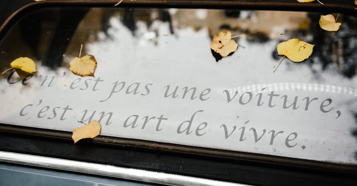 obtenez un devis gratuit d'assurance automobile en quelques minutes. comparez les offres et trouvez la couverture idéale pour votre véhicule, sans engagement. économisez sur votre assurance grâce à des options personnalisées adaptées à vos besoins.
